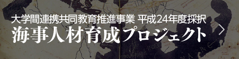 平成24年度～平成28年度 実施プロジェクト