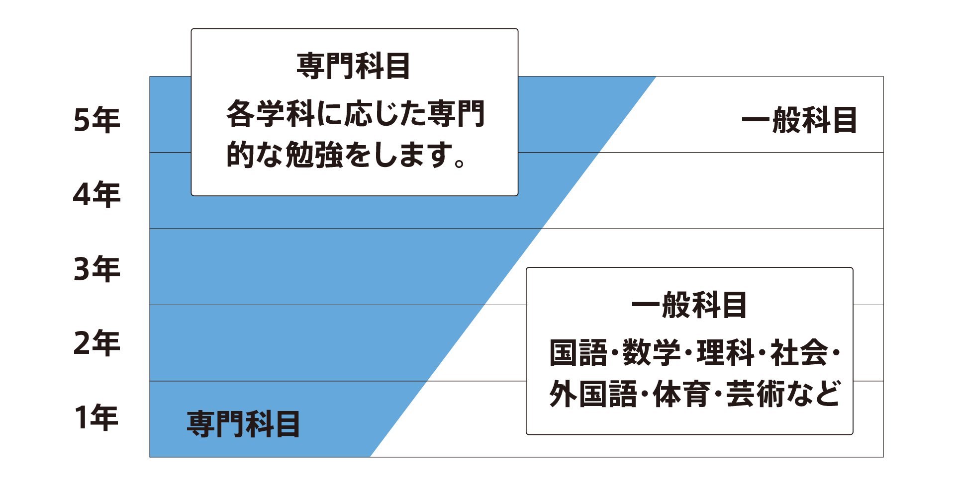 くさび形教育